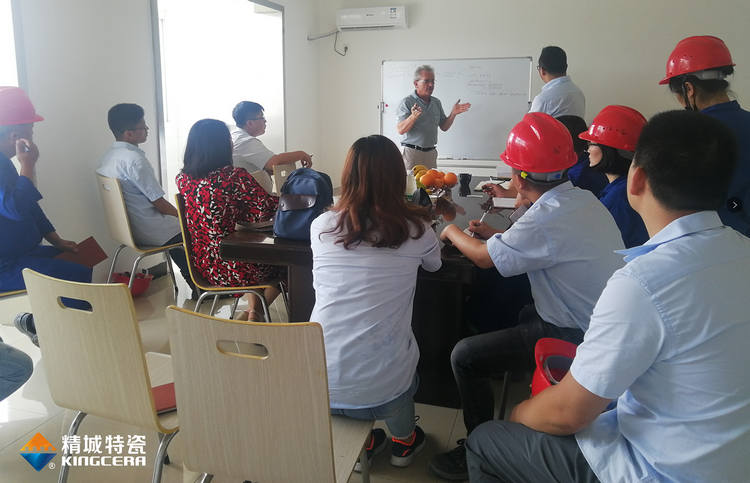 湖南mg不朽情缘特邀意大利专家举行质量治理培训