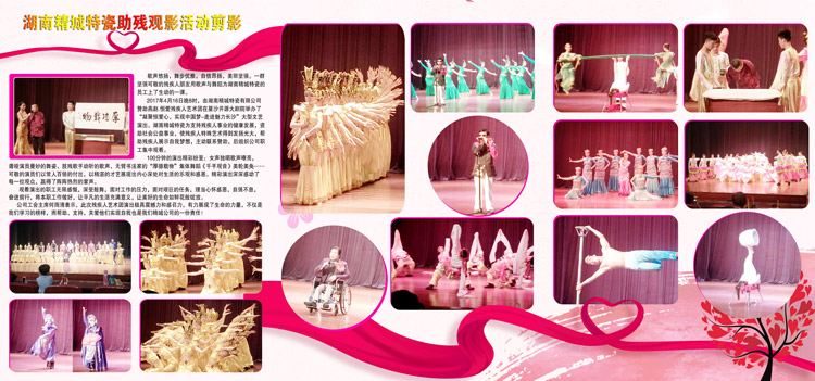 湖南mg不朽情缘赞助燕赵·恒爱残疾人艺术团圆满演出