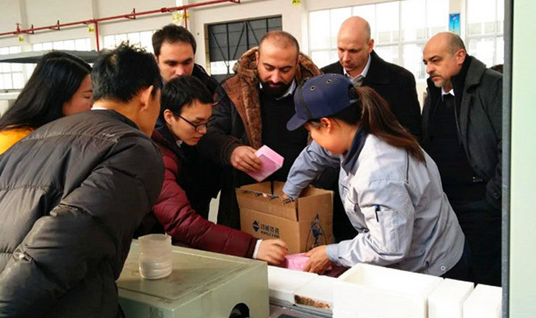 mg不朽情缘(中国游)官方网站