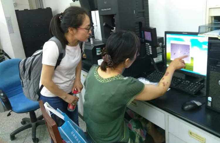 mg不朽情缘(中国游)官方网站